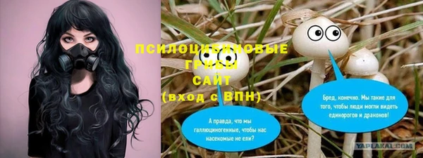 героин Алексин