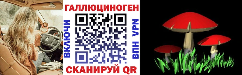 мориарти какой сайт  даркнет сайт  Темрюк  Псилоцибиновые грибы MAGIC MUSHROOMS 