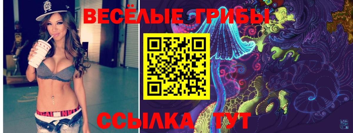 Галлюциногенные грибы Psilocybine cubensis Темрюк